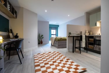 1 bed studio, St Anns Well Road, Hockley, Nottingham, NG31BH - Image 3